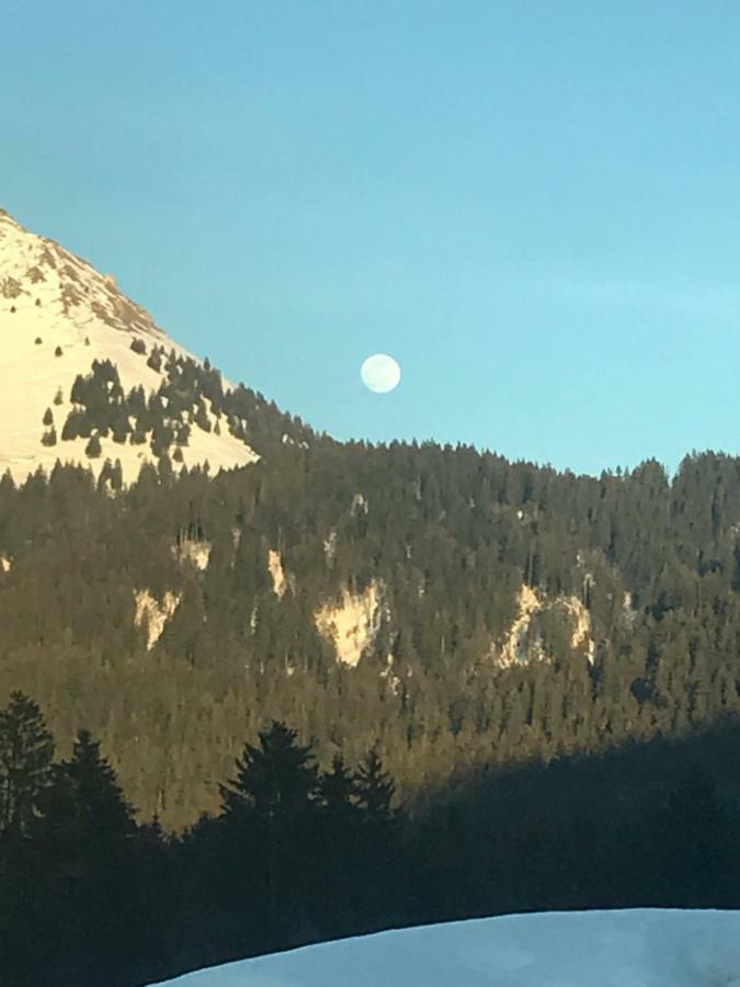 Route Des Joncs 300 Appartemen Les Paccots Екстериор снимка